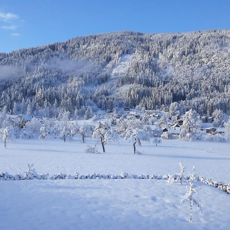 Apartment-Ferienwohnung 3 Treffen Am Ossiachersee Luaran gambar