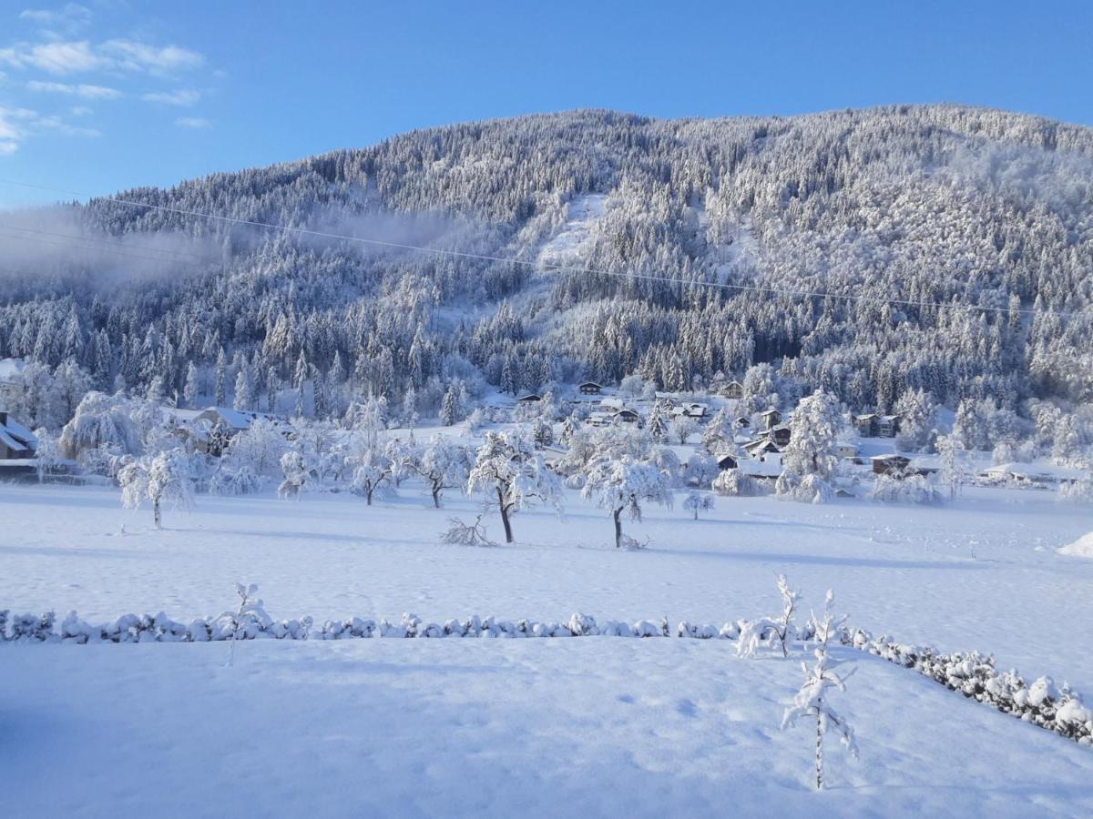 Apartment-Ferienwohnung 3 Treffen Am Ossiachersee Luaran gambar